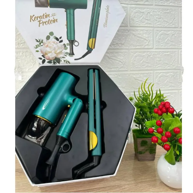 Seche cheveux Florence HK-383