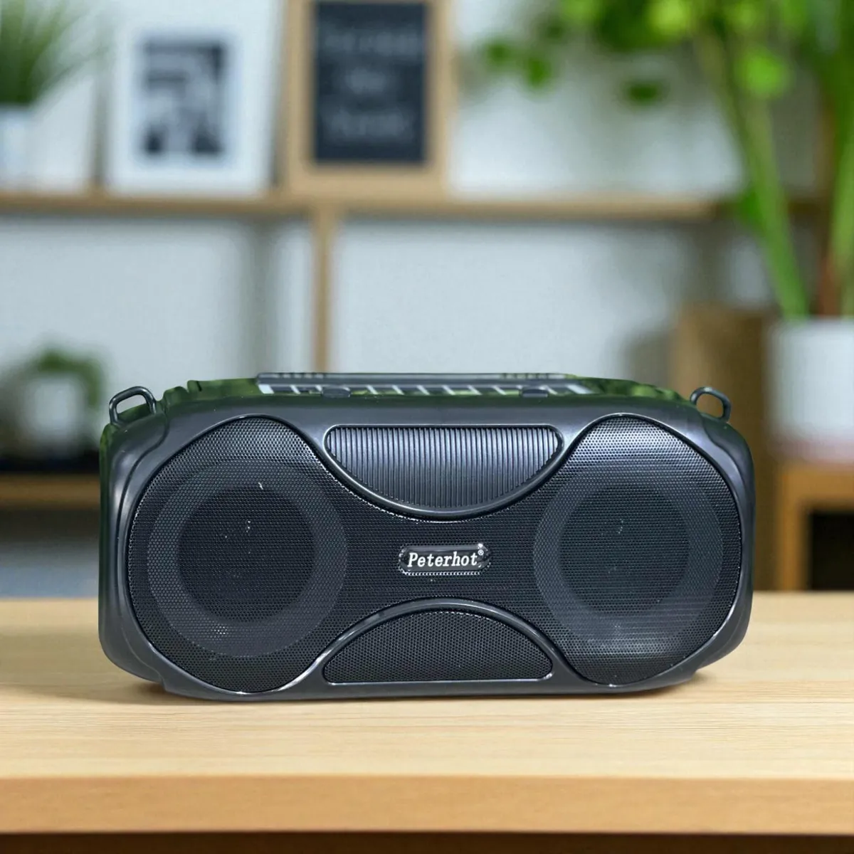 Haut-parleur Bluetooth & Radio FM – PETERHOT PTHX13